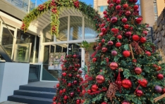 ���ֻ�ټ�, ī�� ������� ��ũ�������� �������� ����