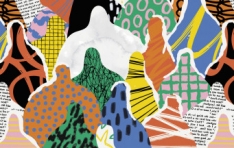 Ư���� �������� ���С��� ���� �پ缺�� ��ġ�� ����