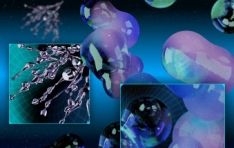 ����3ȸ �������տ����佺Ƽ�� �����忢���� ���� 7�� ������ 15���� ������ ������ ���տ��� ������ �忡�� ü���ϴ� ����� �̷�